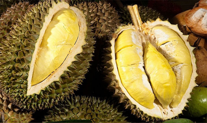 sầu riêng đak lak