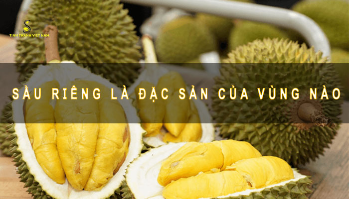 sầu riêng là đặc sản vùng nào